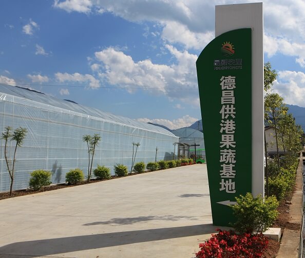 供港果蔬基地開啟農(nóng)業(yè)升級之門