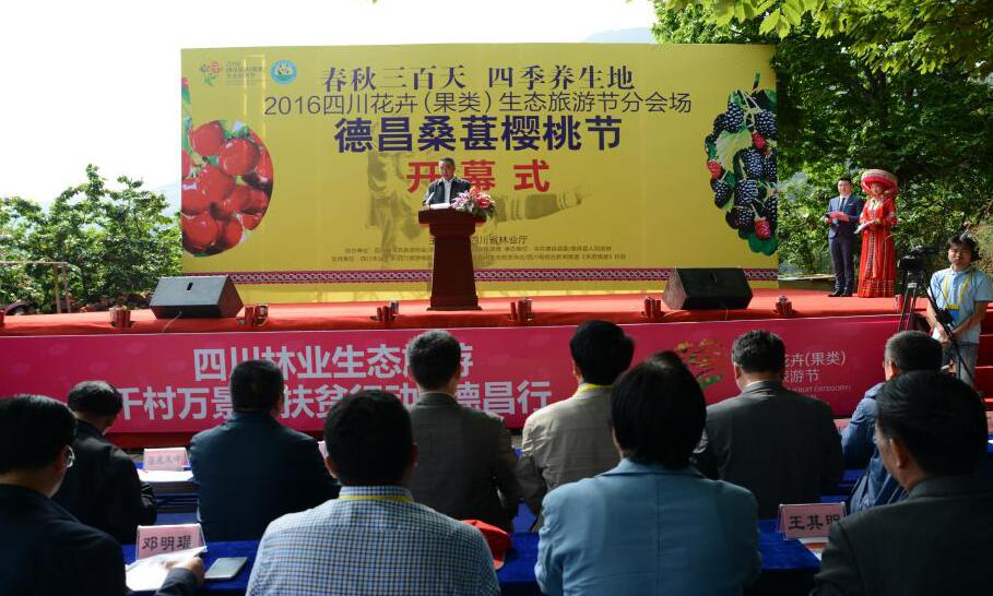 品新公司應(yīng)邀參加德昌縣桑葚櫻桃節(jié)開幕